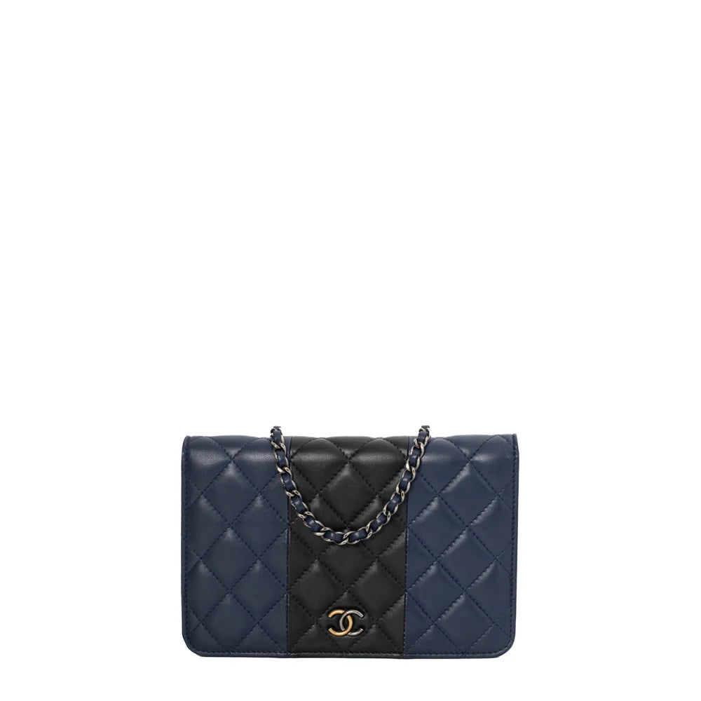 Chanel Chain Around Bag Collection | Bragmybag