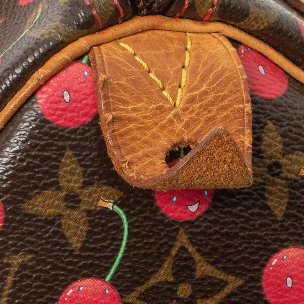 LOUIS VUITTON Cherry Speedy 25 🍒🍒🍒 - I LOVE THIS BAG! 