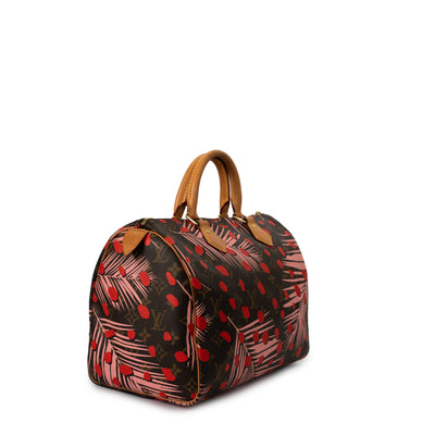 Louis Vuitton Speedy 30 Jungle Dots Palm Springs Bag